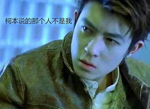 韩国电影真实看不懂,探寻真实与虚构的界限