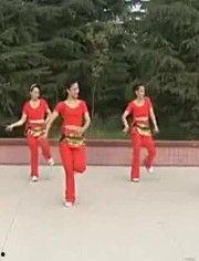 广场舞免费视频大全,舞动健康，乐享生活