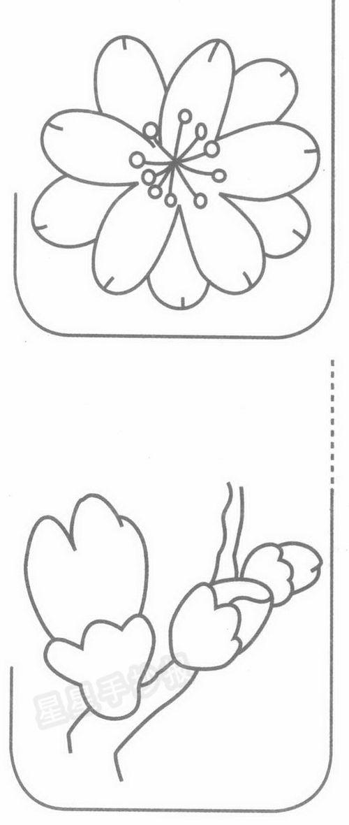 简笔画桃花图片大全,简笔画中的春日浪漫