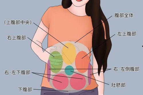 肠鸣音听诊视频,直观解析肠道健康与疾病诊断