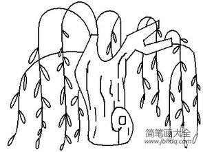 春天柳树的图片简笔画,柳树枝繁叶茂的画卷