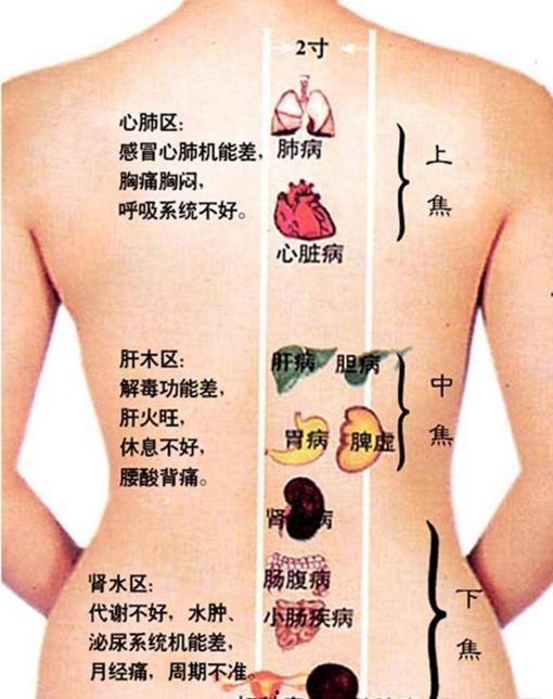 背部刮痧手法视频教学视频,轻松掌握健康养生之道