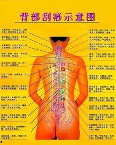 背部刮痧手法视频教学视频,轻松掌握健康养生之道