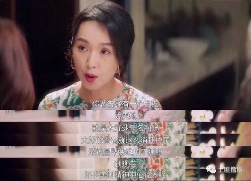娱乐吃瓜酱安十三,娱乐吃瓜酱的趣味人生