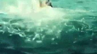 海云台国语百度云,揭秘神秘海岛风情