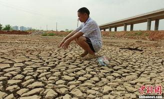 旱情图片,我国多地遭遇严重干旱，农业生产面临挑战