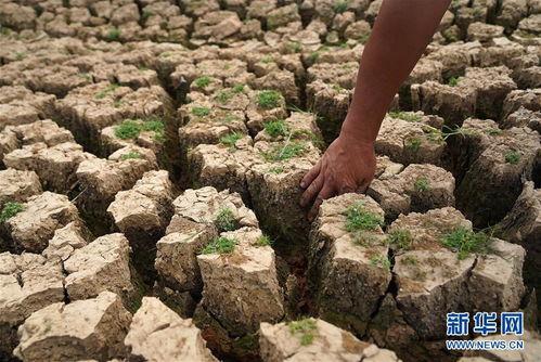 旱情图片,我国多地遭遇严重干旱，农业生产面临挑战