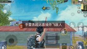 手雷爆炸视频,手雷爆炸瞬间震撼画面解析