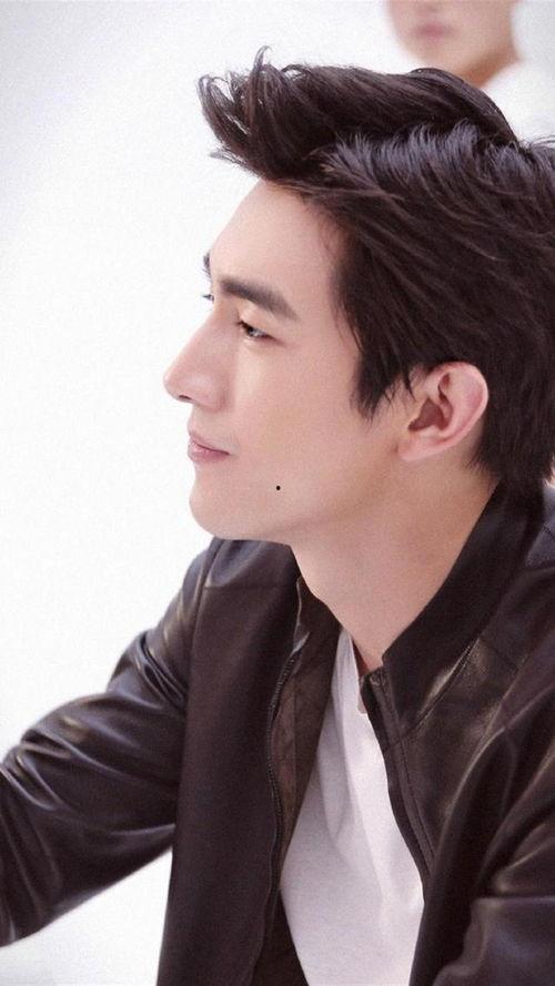 帅男图片大全明星图片,帅男明星风采大盘点