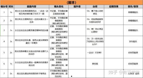 视频脚本格式,打造引人入胜的视觉盛宴
