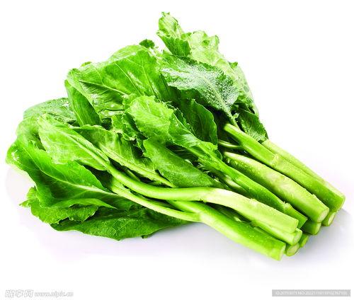 芥兰图片,清新翠绿，营养丰富的蔬菜佳品