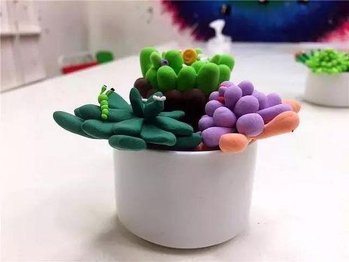 粘土多肉植物图片大全,尽在粘土多肉植物图片大全