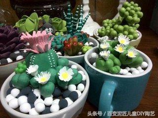 粘土多肉植物图片大全,尽在粘土多肉植物图片大全