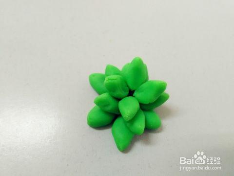 粘土多肉植物图片大全,尽在粘土多肉植物图片大全