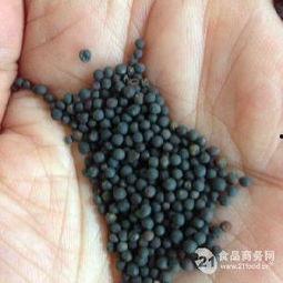 菜籽图片,丰收的象征，营养的宝库