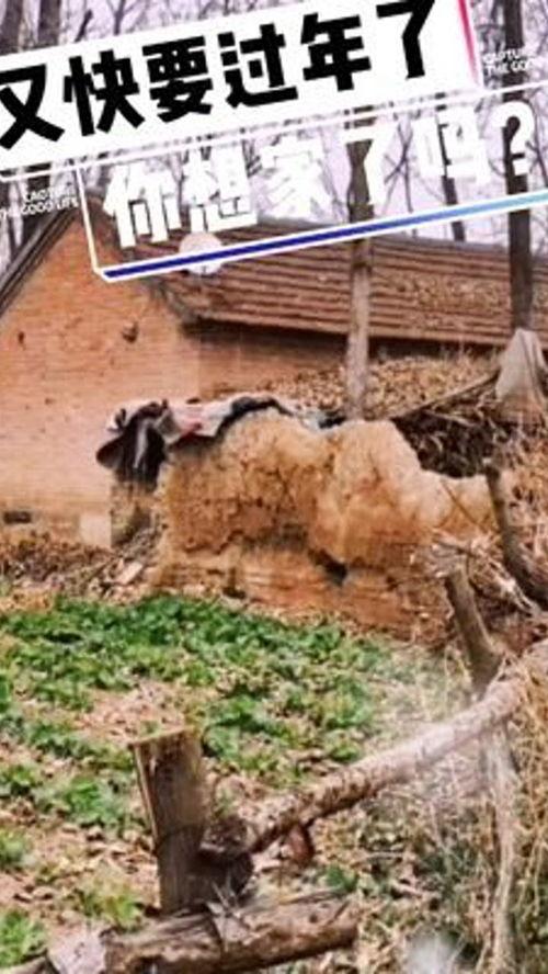 老家视频,老宅记忆与变迁