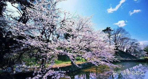 日本清森,日本北海道北端的历史与文化之旅