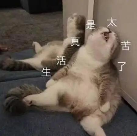 太累了图片大全,太累了！盘点那些让人会心一笑的疲惫瞬间