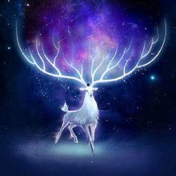星辰图片大全,探索宇宙奥秘的视觉盛宴