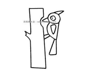 画啄木鸟的图片,自然界的精准雕刻者
