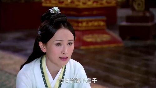 电视剧卫子夫在线观看,传奇皇后的一生