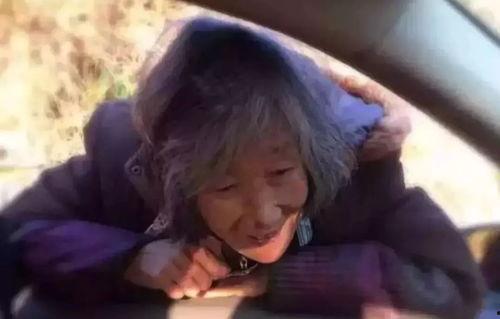 慈母 在线观看,感人至深——在线观看温情母爱故事