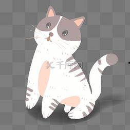 卡通可爱小猫图片大全,卡通可爱小猫图片大盘点