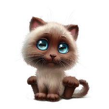 卡通可爱小猫图片大全,卡通可爱小猫图片大盘点