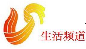山东生活频道在线观看,在线观看，尽享精彩生活瞬间