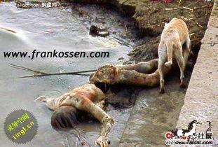 恐怖死人图片大全大图,恐怖死人图片大图解析
