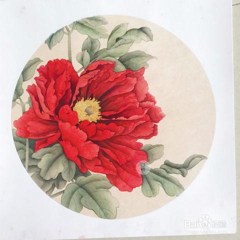 牡丹画视频,视频中的国色天香艺术之旅