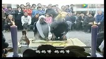 陕北哭灵视频,传承千年的悲情祭祀仪式