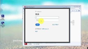 242cc在线视频,热门内容背后的精彩故事