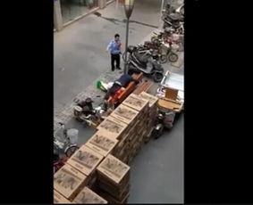 路震视频,揭秘真实世界背后的故事