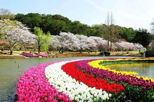 日本花卉公园