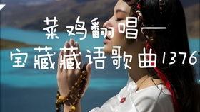 藏语搞笑视频,揭秘高原幽默风趣瞬间