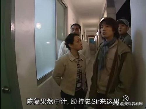 栋笃神探国语港剧网,笑中带泪的侦探传奇，揭秘香港风华背后的神秘故事