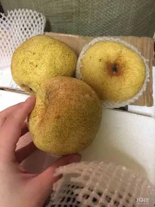 梨子图片大全大图,尽享丰收季的甘甜瞬间