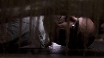 等你熟睡在线观看,深夜情感共鸣之旅