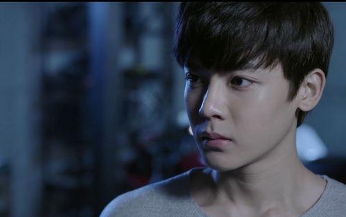 寒武纪电视剧在线观看