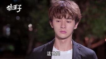 狼王子03在线观看,巅峰对决，荣耀归来