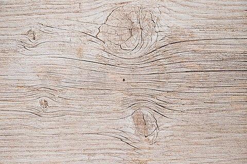 木材图片大全,从硬木到软木，尽览自然之美