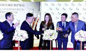 韩国天秘参,神秘滋补的海洋珍品揭秘