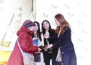 韩国天秘参,神秘滋补的海洋珍品揭秘