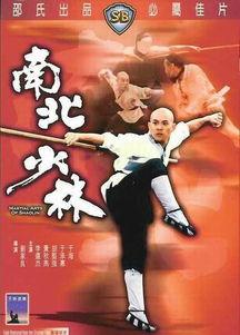 南北少林 国语,武林传奇的巅峰对决
