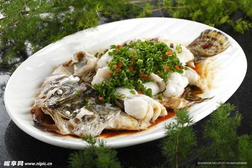 桂花鱼的图片,水中精灵，美丽与美味的完美融合