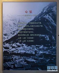 恋歌士 日本,探寻日本传统情歌的魅力之旅