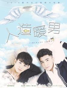 人造暖男在线观看,揭秘人造暖男在线观看之旅