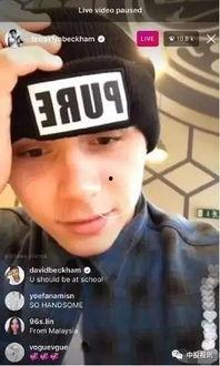 吃瓜娱乐圈直播视频大全,吃瓜群众狂欢时刻大盘点