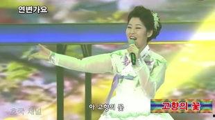 韩国歌曲《花》